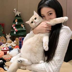 猪咪家的渐层头像