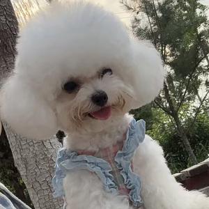 Kim i 日常生活头像