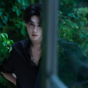 木习习宁Smoothly头像