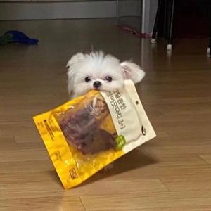 想喝冰可乐头像