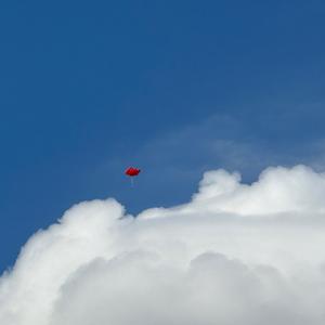 荷叶泡饭崽头像