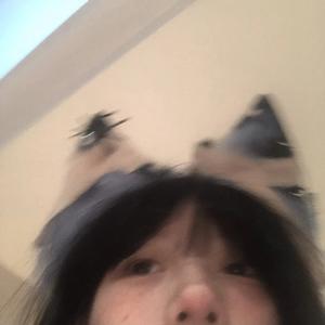 吸引引引引头像