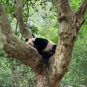 困困拼豆日记头像