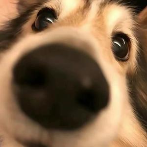 97（dark and darker）头像