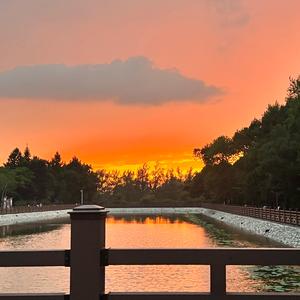 屌丝逆袭记头像