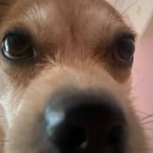 天天的日常🐵头像