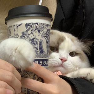 AA不锈钢场老板头像