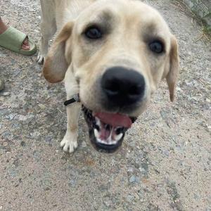 刘富贵🦮👩‍🦯头像