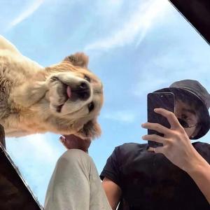 A🍚🍚🍚-（互）头像