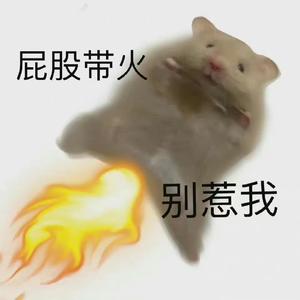 Viyo的在逃未婚妻头像