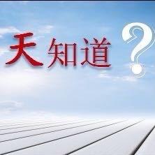 天知道头像