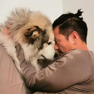 保元的快乐补给站头像