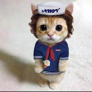 sincere feelings头像