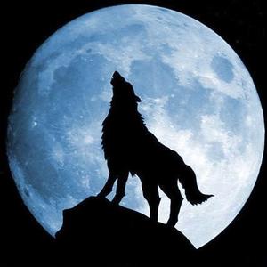 暗夜孤狼（三角洲行动）头像