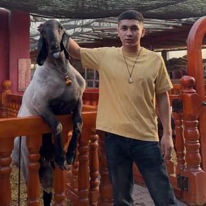 恰派迩刀郎公羊头像