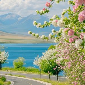 娱乐全明星头像