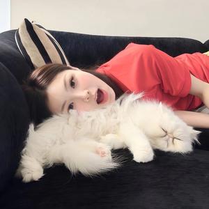 ㅤㅤㅤㅤㅤㅤ头像