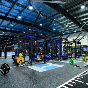 飞跃的猪 训练营招生中头像