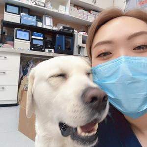 兽医姐姐-康越🧚‍♀️头像