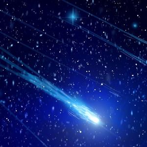 有一种草叫满天星头像