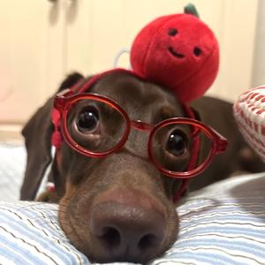 熬过黑夜等下个白昼头像