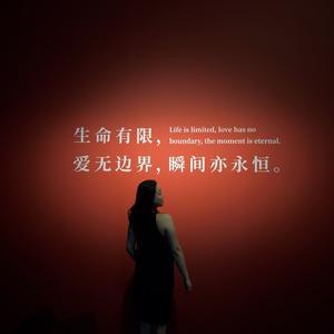 飞飞仔在路上头像