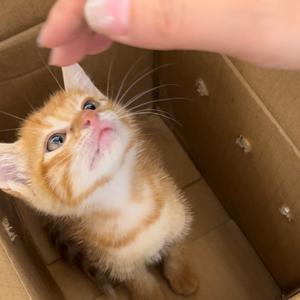 蛋黄的成长日记头像