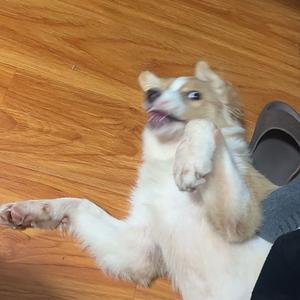 与山间之明月头像