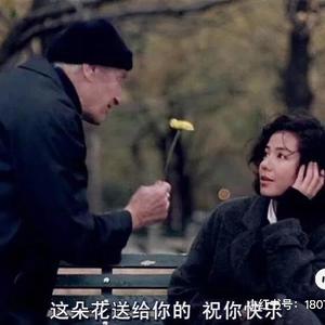 喵喵喵喵🐱头像