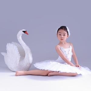 小毛毛麻麻（许嵩青岛、杭州、湖州见过版）头像