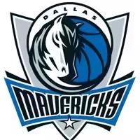 达拉斯独行侠队头像