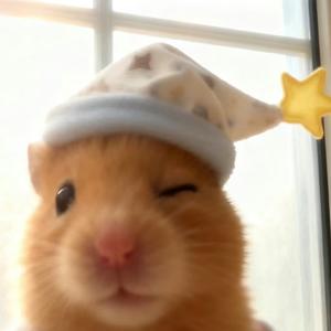 发呆小天才·头像