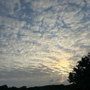 💗暖扬自媒体头像