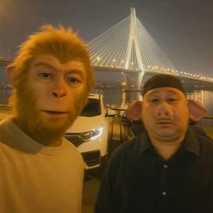 八戒不是猪.头像