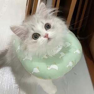 是个显眼包头像