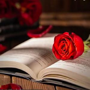 静心读书（领书）头像