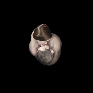 鼓瑟和鸣🎼头像