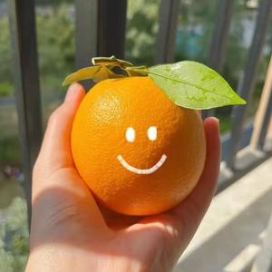 微风许甜-W头像