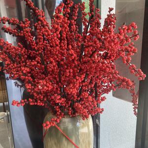 柚野·Yuzu好物头像