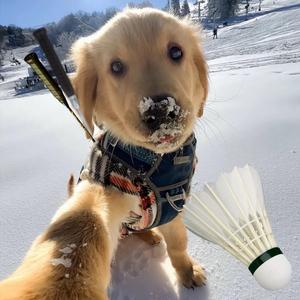 我勒个大唐盛世头像