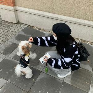 蓝豆儿头像