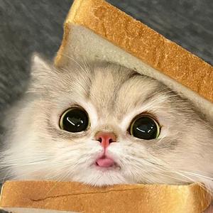 甜心梨椰球头像