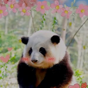 用心事就成头像