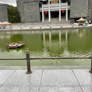 英山—-王Sir头像