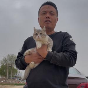 @短腿小拖把头像