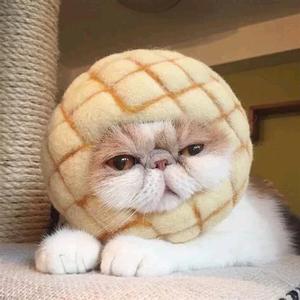 菠萝头追剧头像