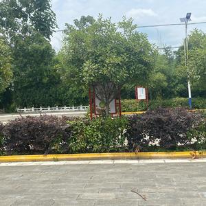 都是成年人何必太认真，头像