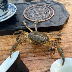 账号已转移头像