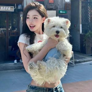 發發短篇爽文小说头像