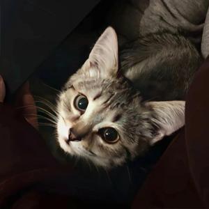 树上有只鱼头像